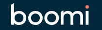 Boomi Logo