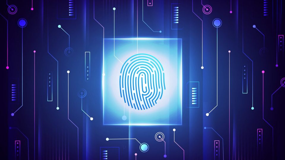 Veza Raises $108 Million in Series D at $808 Million Valuation to Meet Global Demand for its Pioneering Identity Security Platform