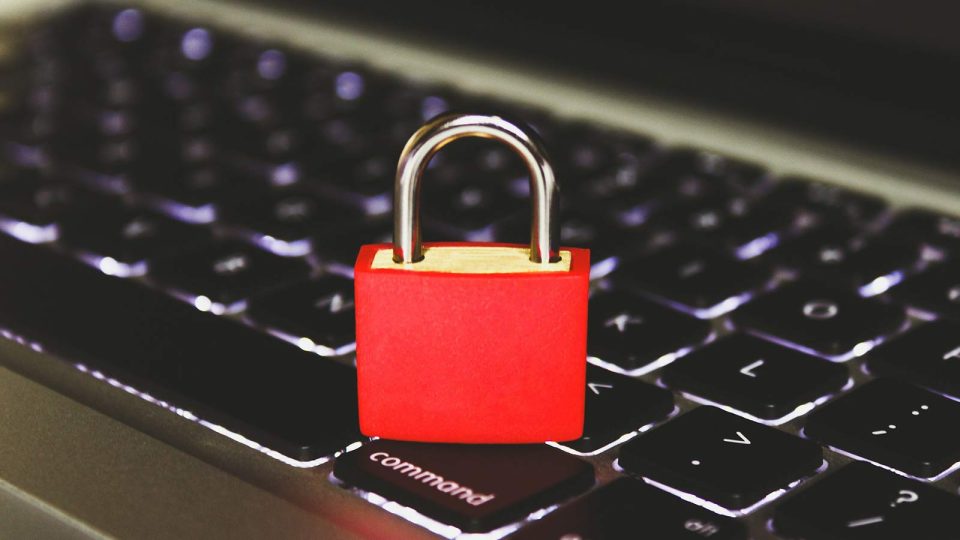 2025 State of Small Business Survey: Surge in AI, Cybersecurity and Social Media Demand