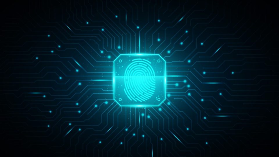 DataHub Secures $35 Million Series Billion to Enable AI to Safely Manage and Use Data